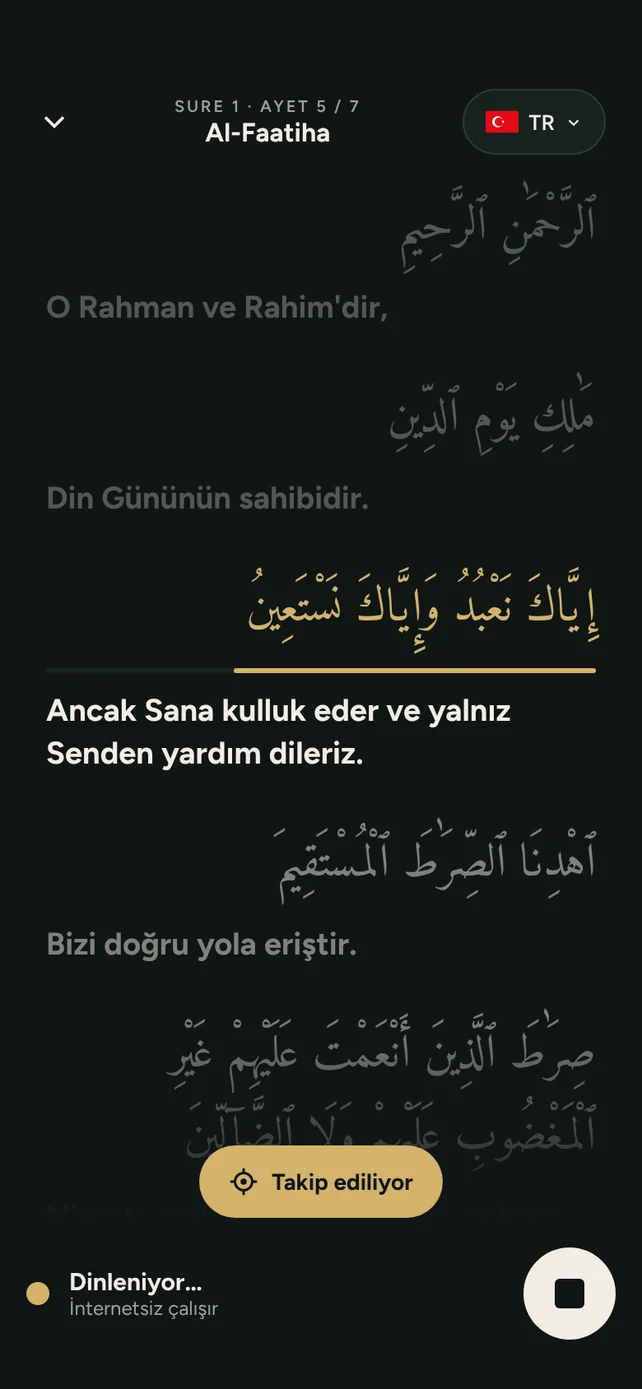 AyahSync Fâtiha suresini takip ediyor, 5. ayet mealiyle vurgulu